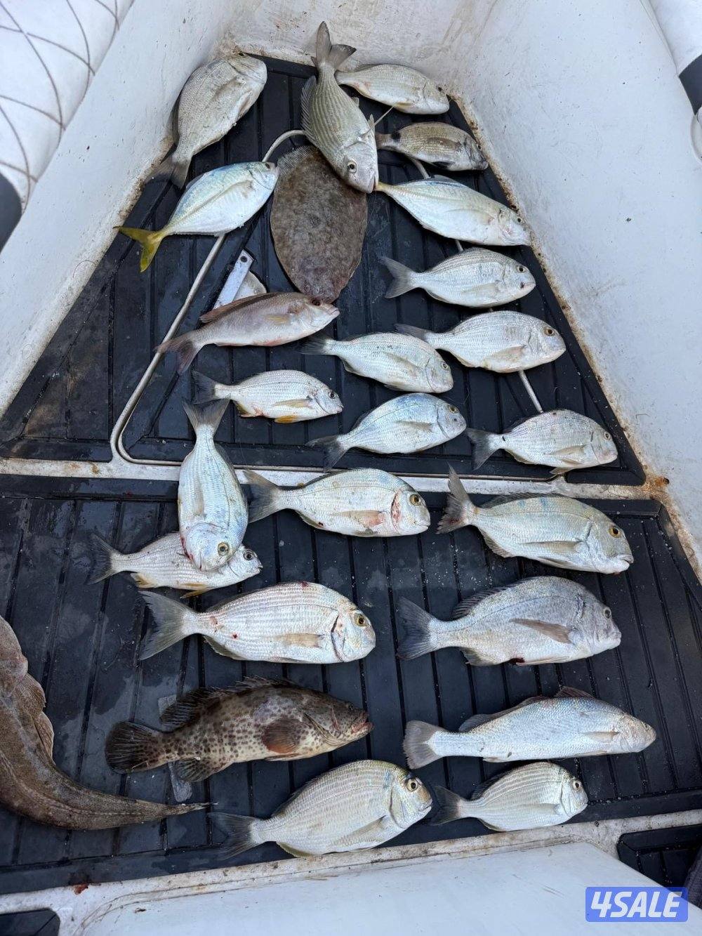 ‏‎نوخذه كويتي حداق جسر جابر والجون وتعليم الحداق والجق ولفاح7