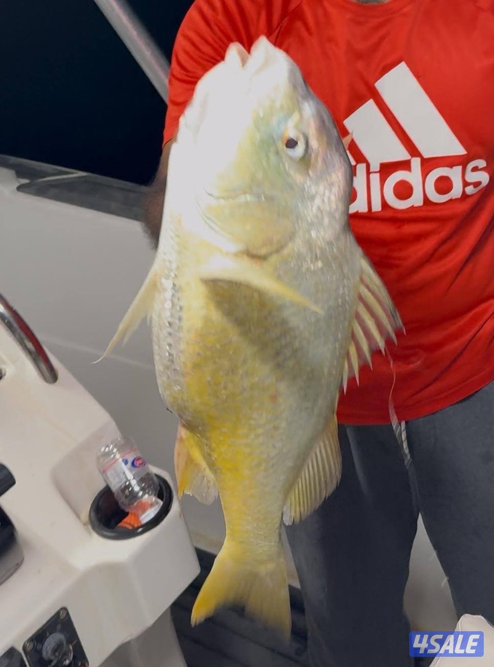 ‏‎نوخذه كويتي حداق جسر جابر والجون وتعليم الحداق والجق ولفاح9