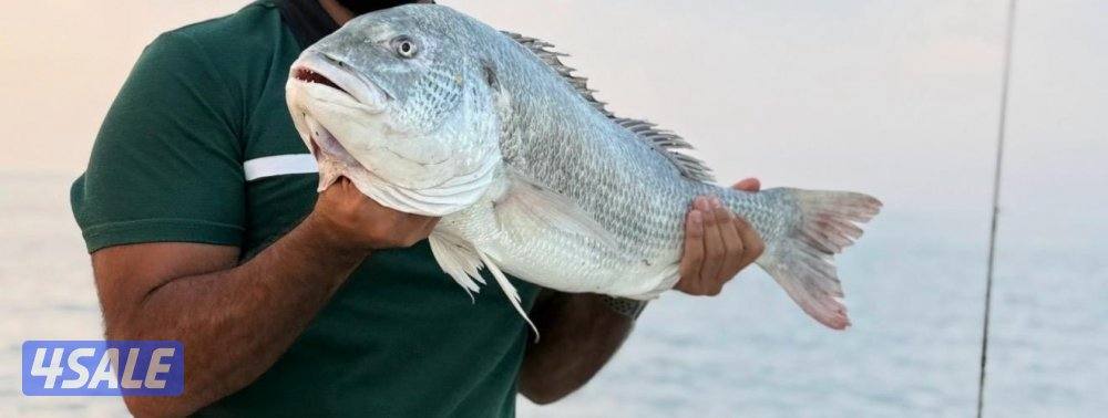 ‏‎نوخذه كويتي حداق جسر جابر والجون وتعليم الحداق والجق ولفاح12