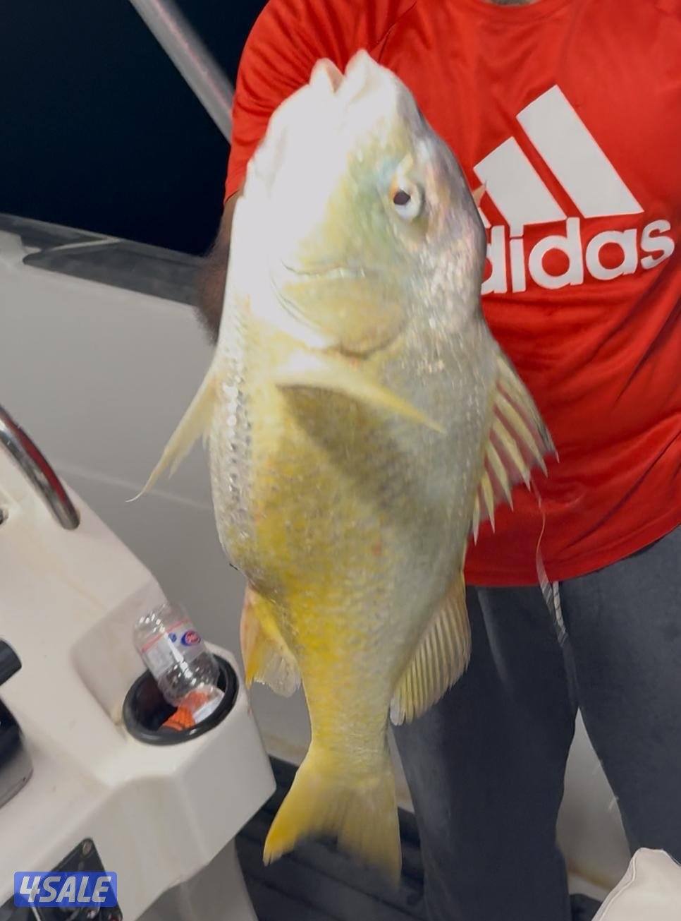 ‏‎نوخذه كويتي حداق جسر جابر والجون وتعليم الحداق والجق ولفاح5