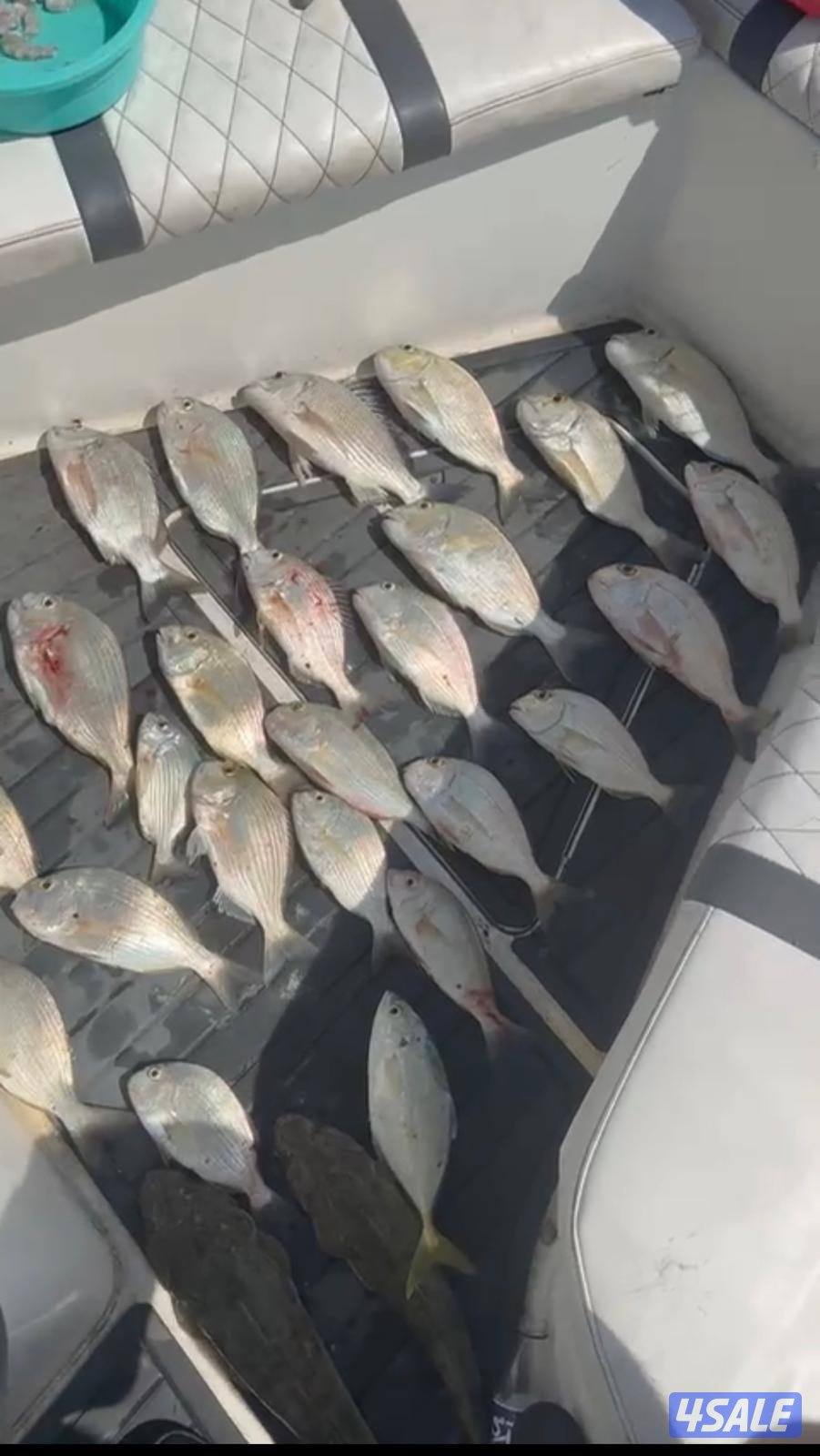 ‏‎نوخذه كويتي حداق جسر جابر والجون وتعليم الحداق والجق ولفاح9