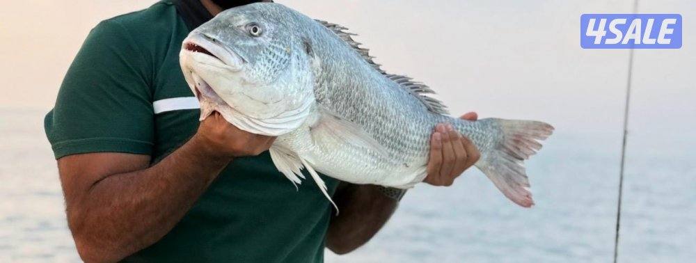 ‏‎نوخذه كويتي حداق جسر جابر والجون وتعليم الحداق والجق ولفاح10