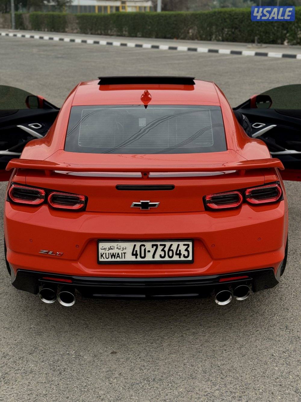 Zl1 20193