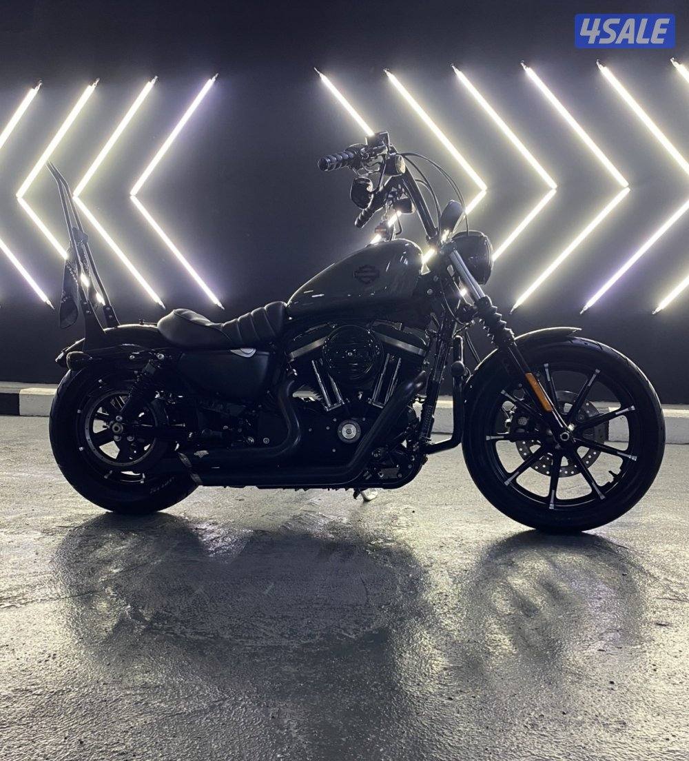 للبيع هارلي سبورتستر 883 مديل 20203