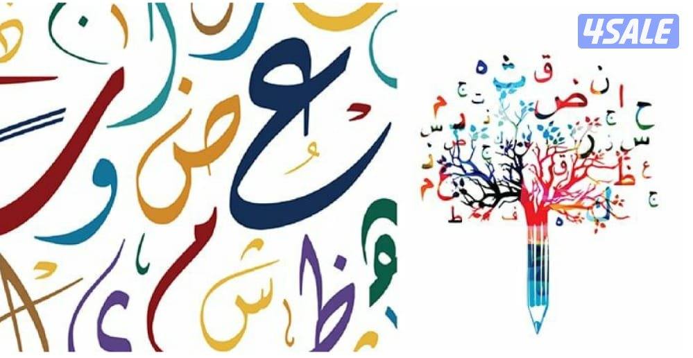 مدرس لغة عربية لصفوف التأسيس والمتوسط7