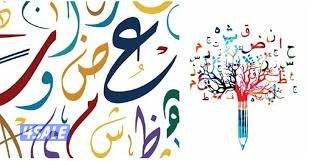 مدرس لغة عربية لصفوف التأسيس والمتوسط8