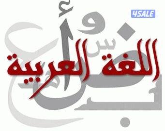 مدرس لغة عربية لصفوف التأسيس والمتوسط13