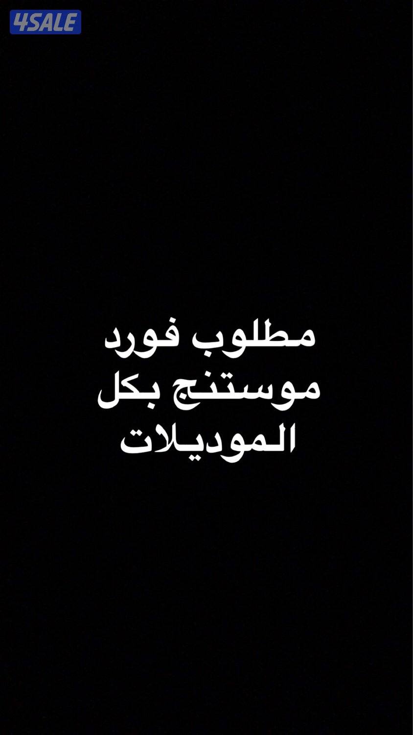 مطلوب موستنج0