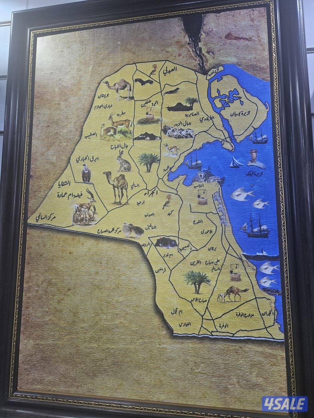 لكزس بسعر ممتاز جلد فتحه شاشه كاميرا15