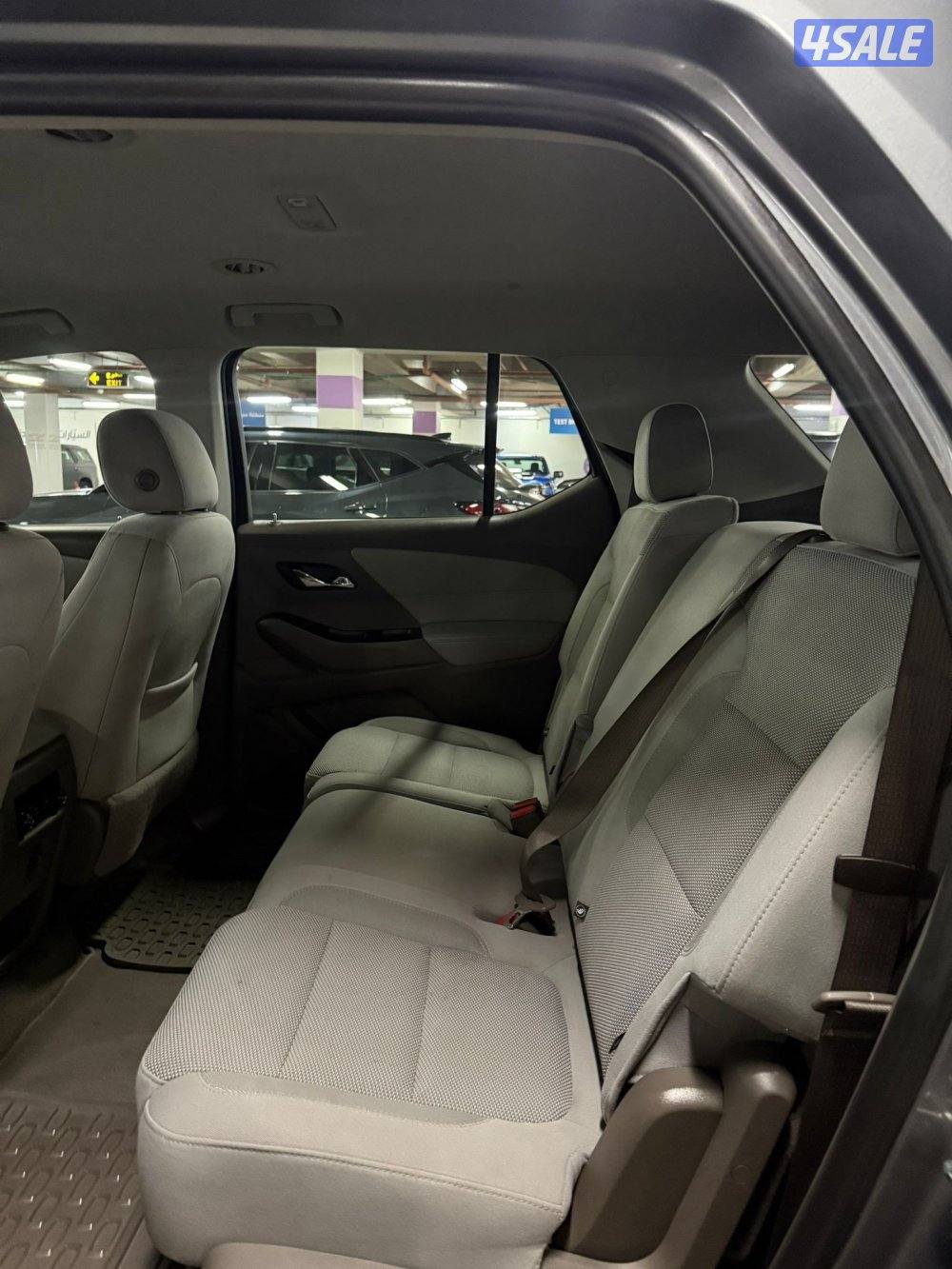 2019 صبغ وكالة4