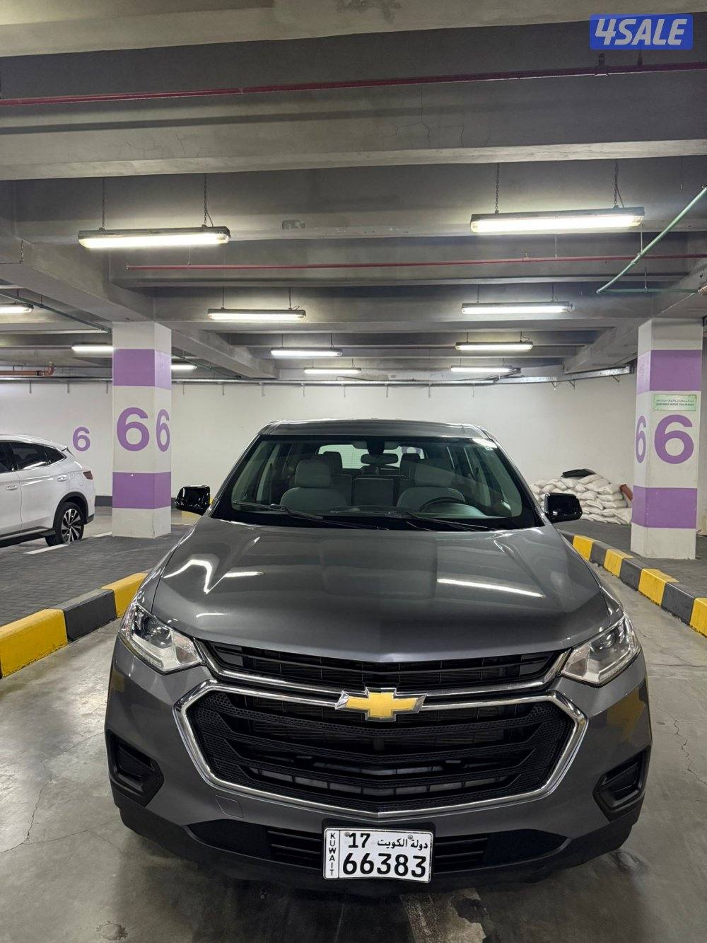 2019 صبغ وكالة10