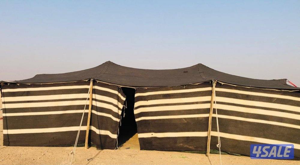 للبيع بيت شعر2