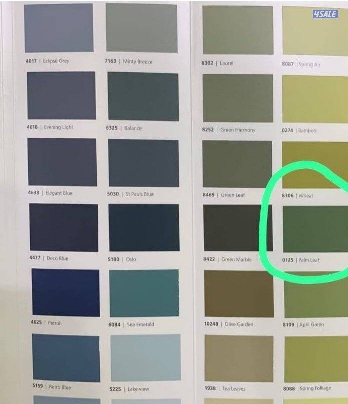 اصباغ ابو غزل جميع انواع الاصباغ9