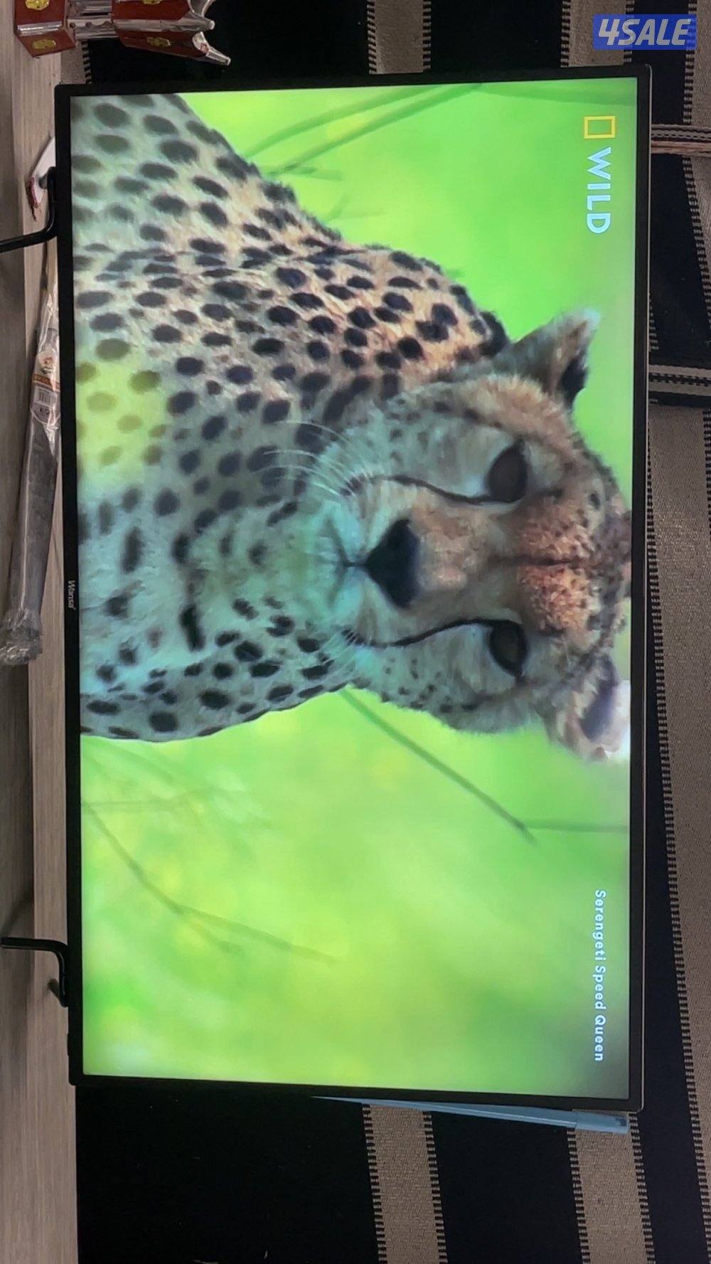 للبيع تلفزيون ونسا 55 بوصه  full hd0