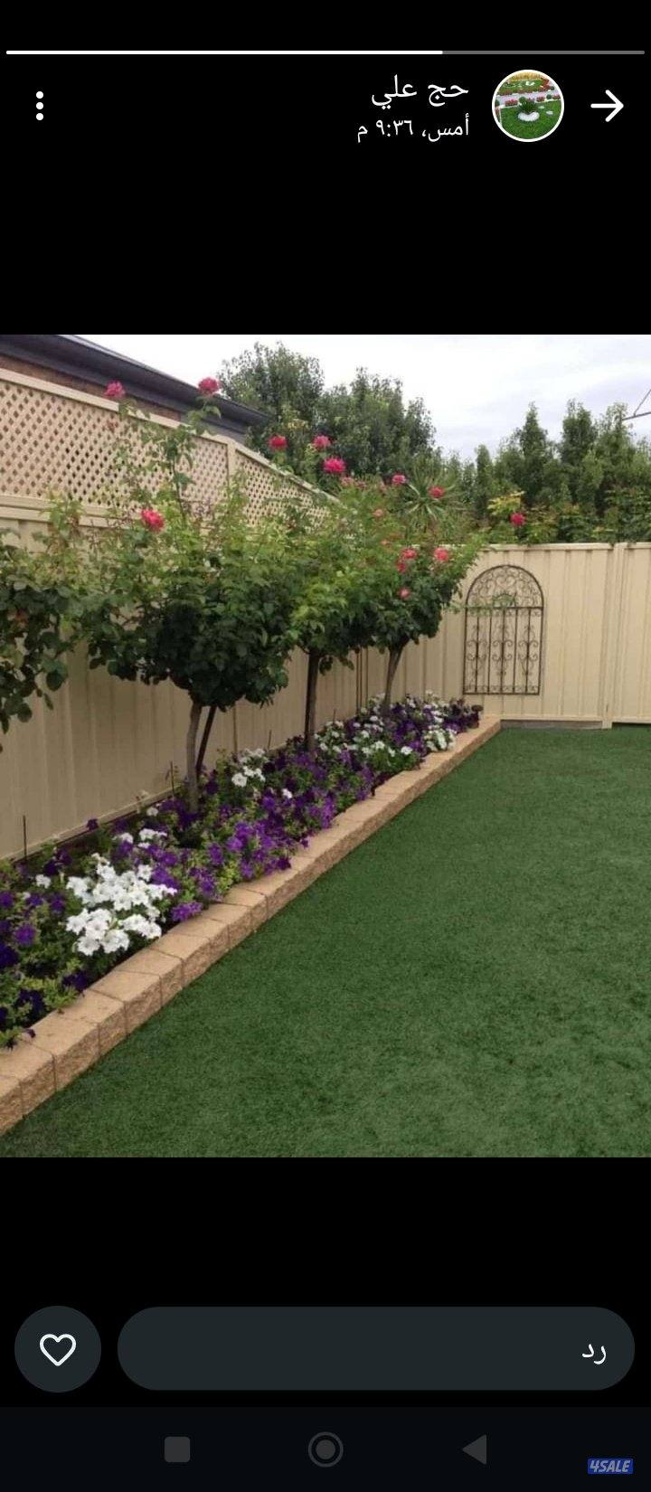 تنسيق وصيانة الحدائق تركيب ثيل طبيعي وثيل صناعي وزراعة الورود وقص الأش3