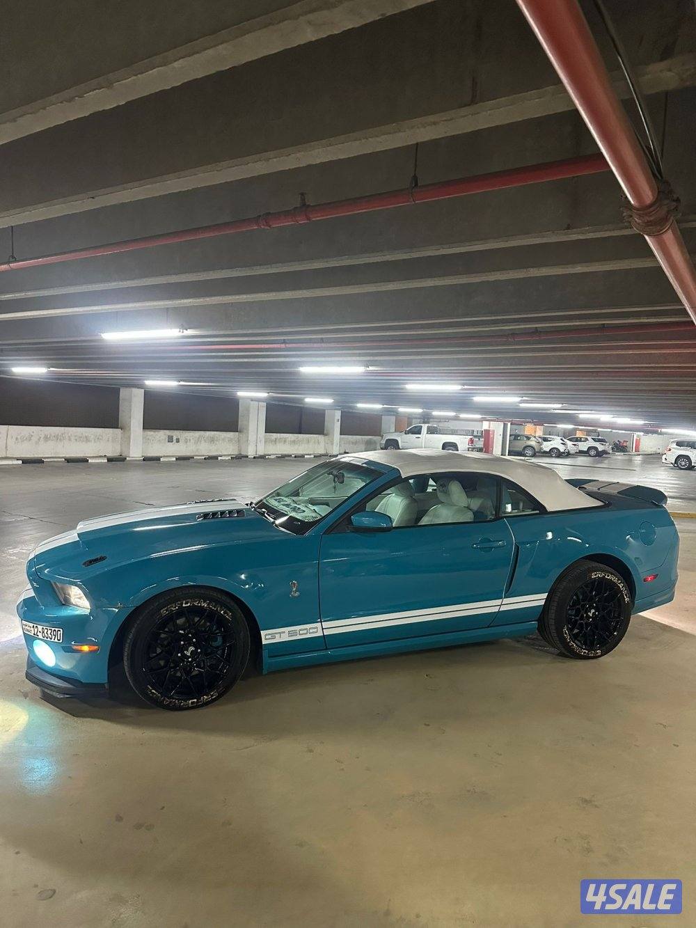 موستنق ٢٠١١6