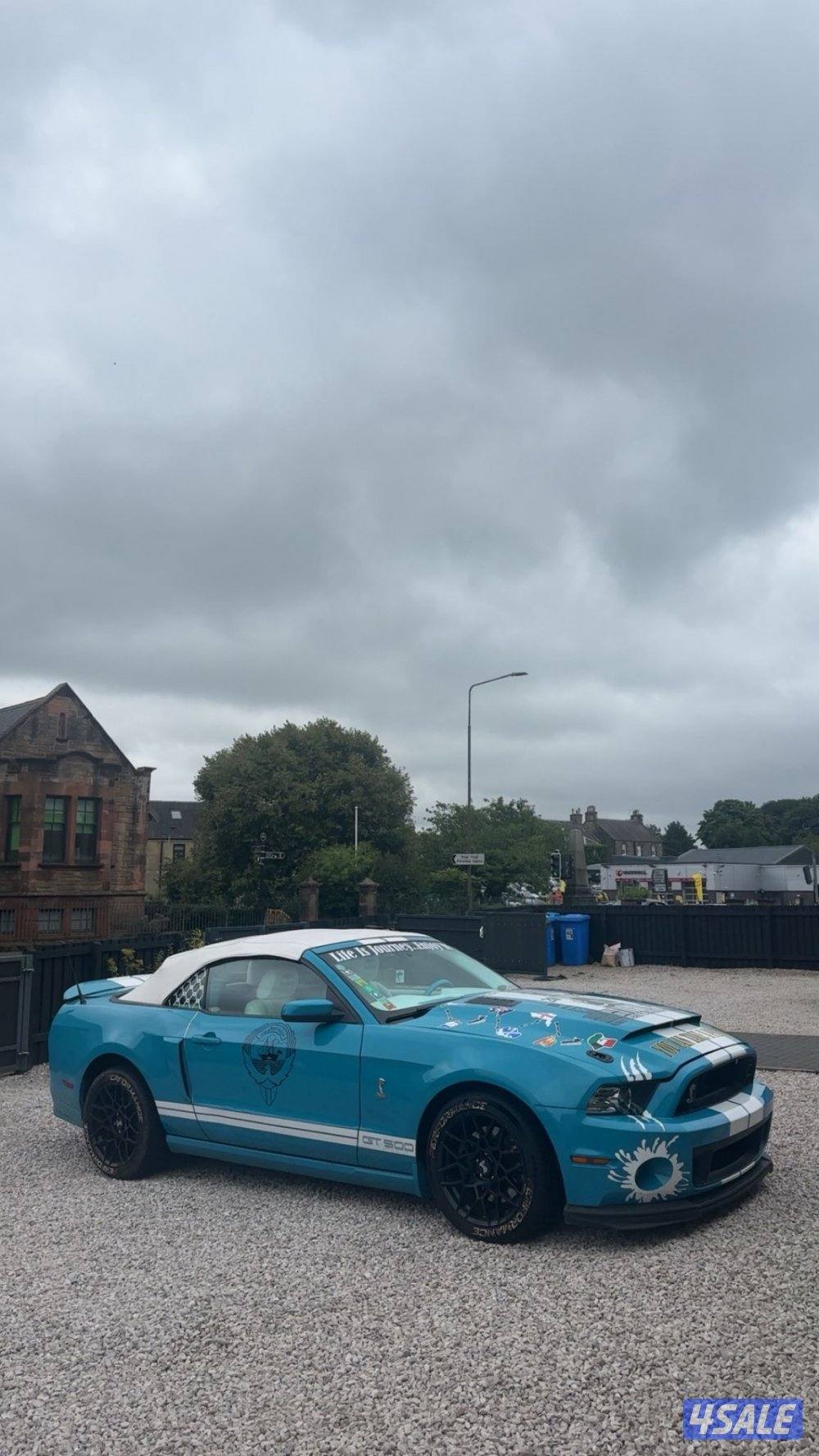 موستنق ٢٠١١12