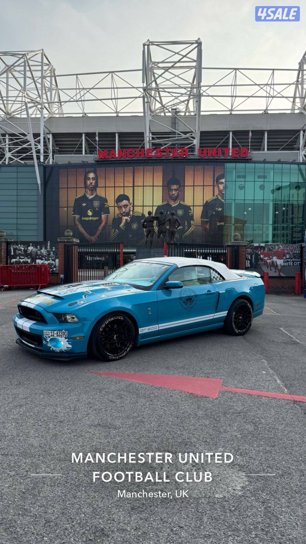 موستنق ٢٠١١14