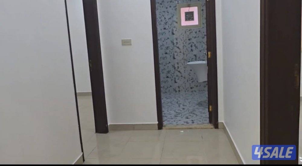 دور للايجار1