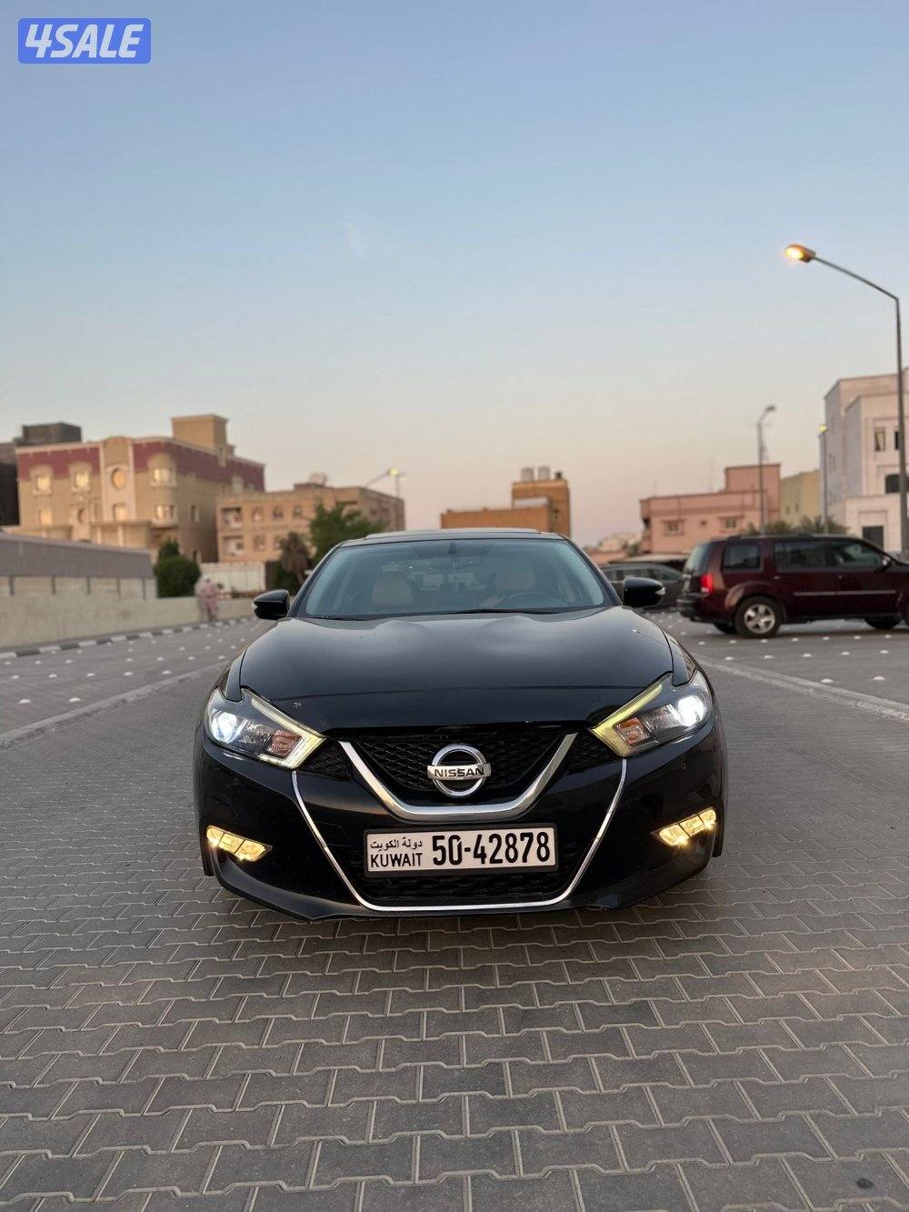 بيعة سريعة ماكسيما ( SV ) الفل  20181