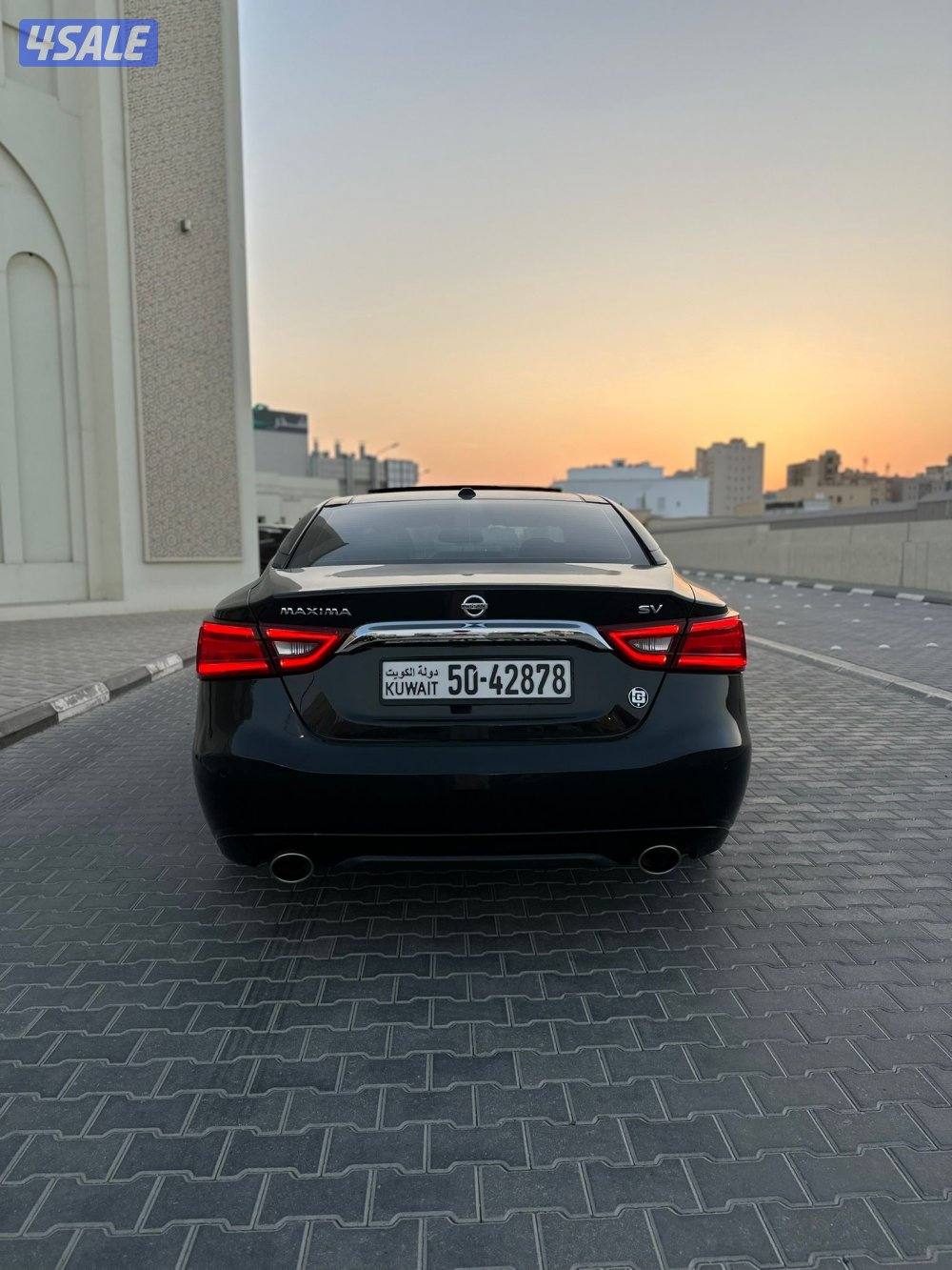 بيعة سريعة ماكسيما ( SV ) الفل  20183