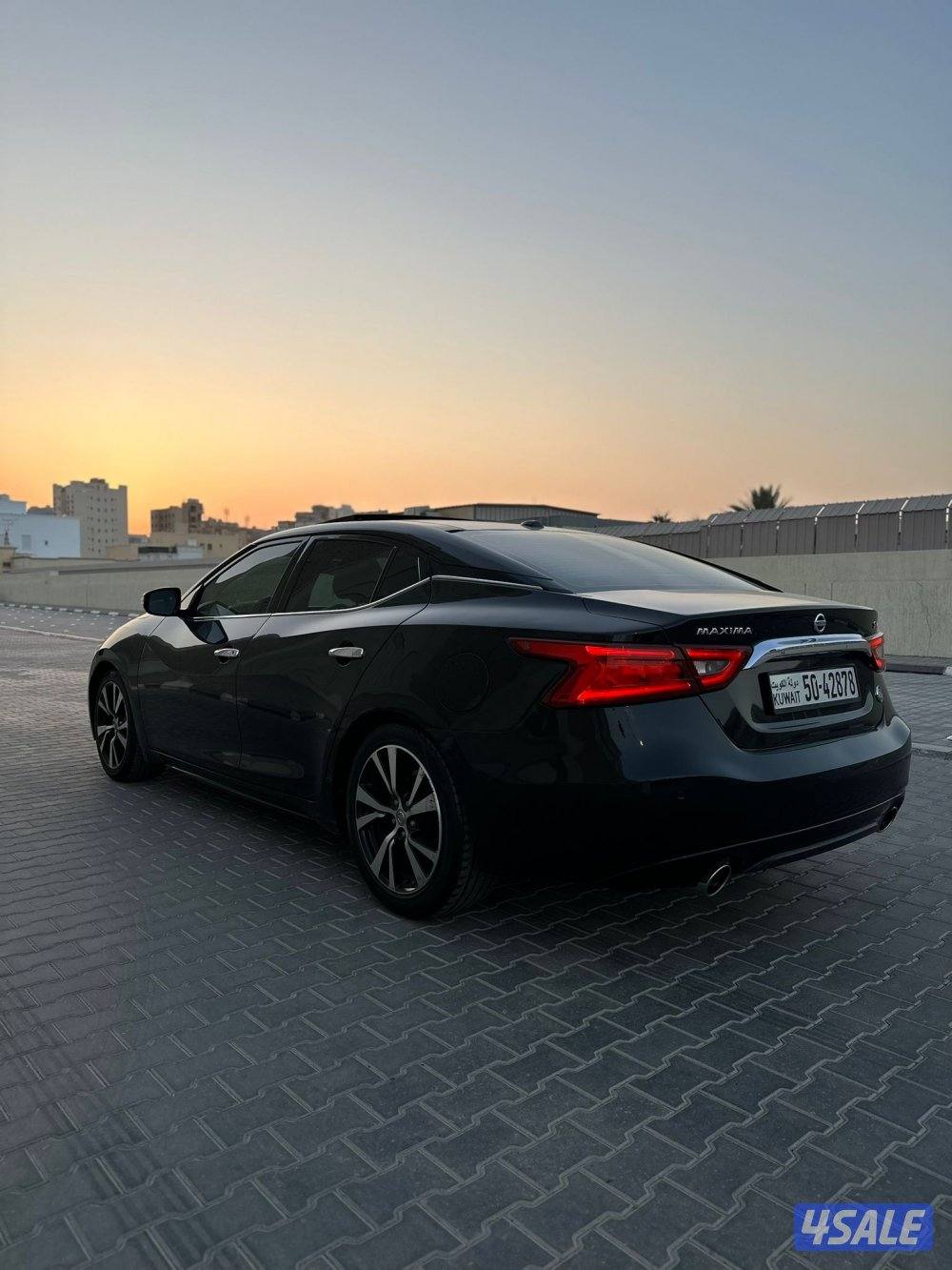 بيعة سريعة ماكسيما ( SV ) الفل  20184