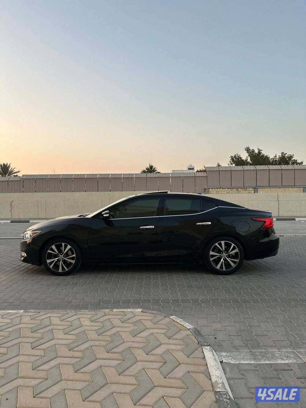 بيعة سريعة ماكسيما ( SV ) الفل  20185