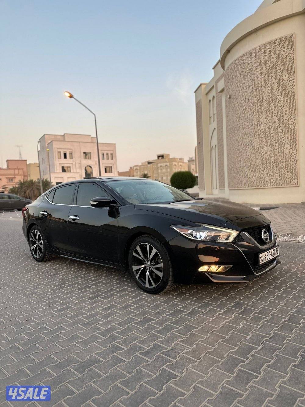 بيعة سريعة ماكسيما ( SV ) الفل  20187