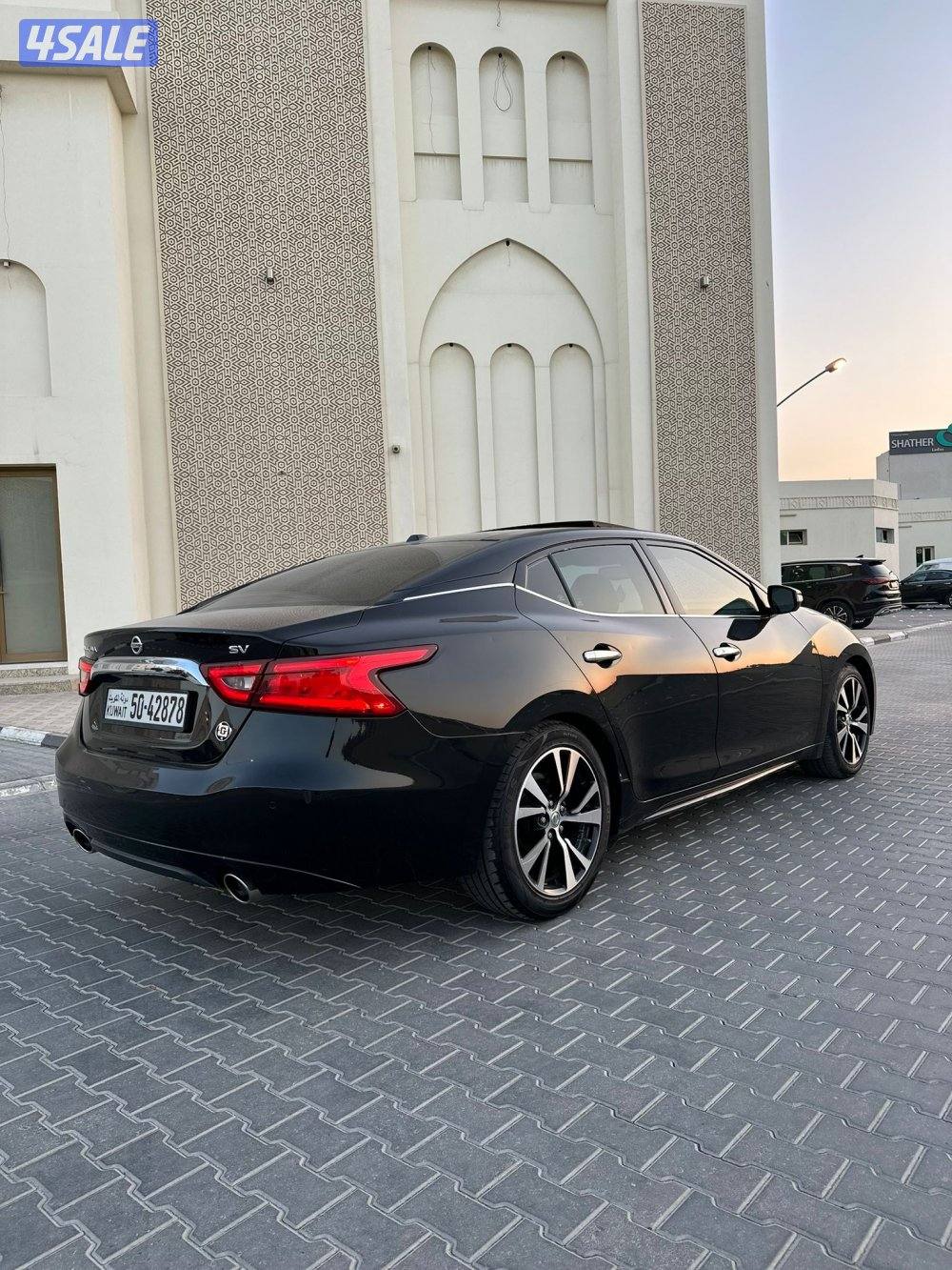 بيعة سريعة ماكسيما ( SV ) الفل  20186