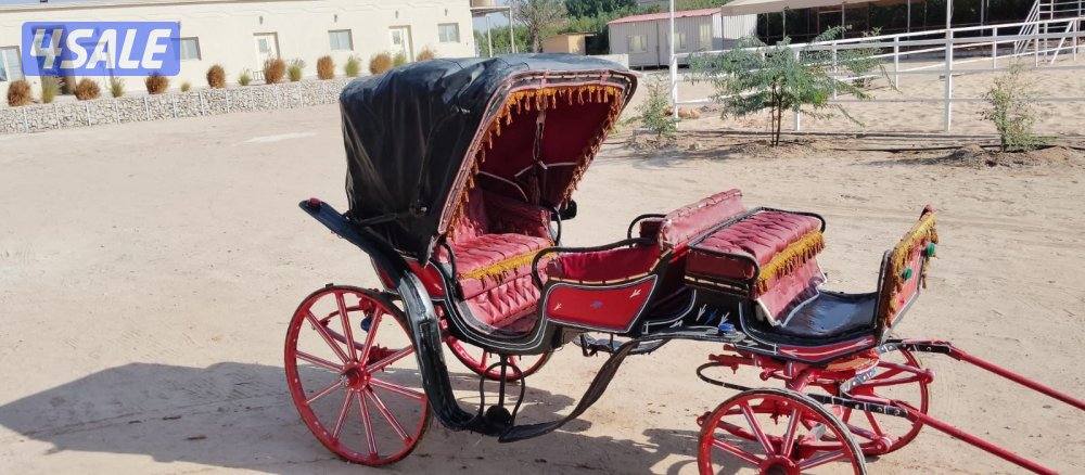 للبيع حناطير صناعة مصريه تركب على البوني والخيل العاديه1