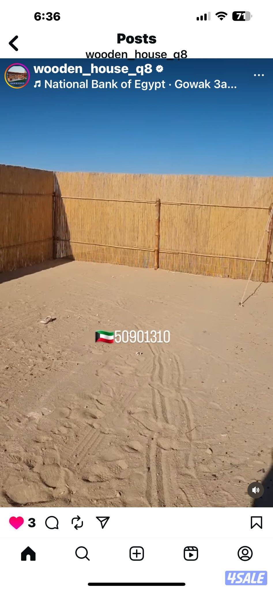 arish kuwait 🇰🇼12