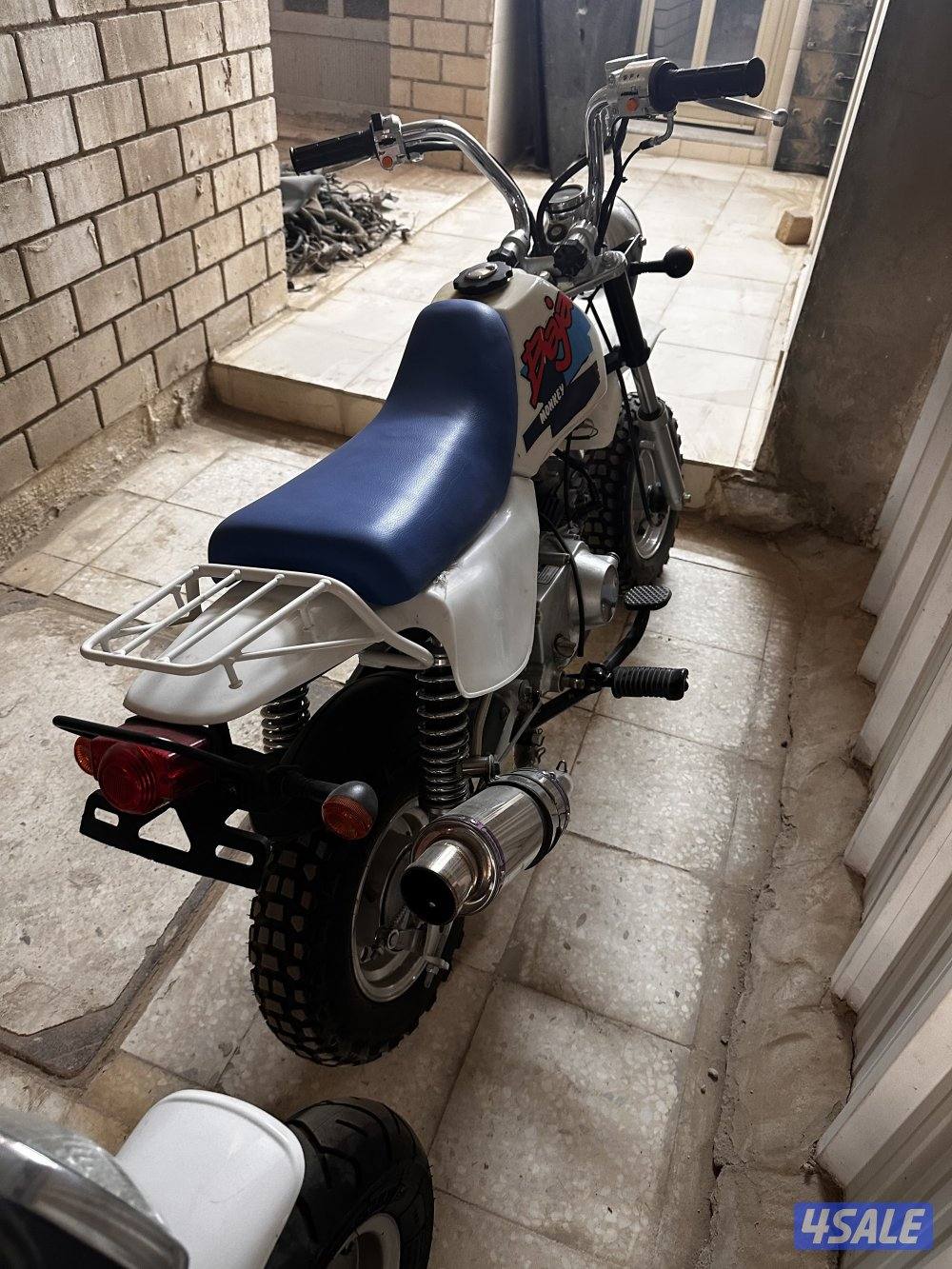 مونكي باجا1