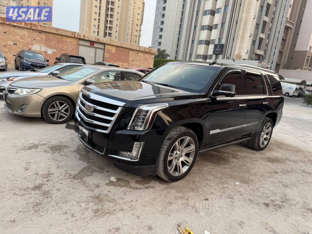 سكاليد بلاتينيوم قمة بالنظافة و شرط الفحص بالكامل6