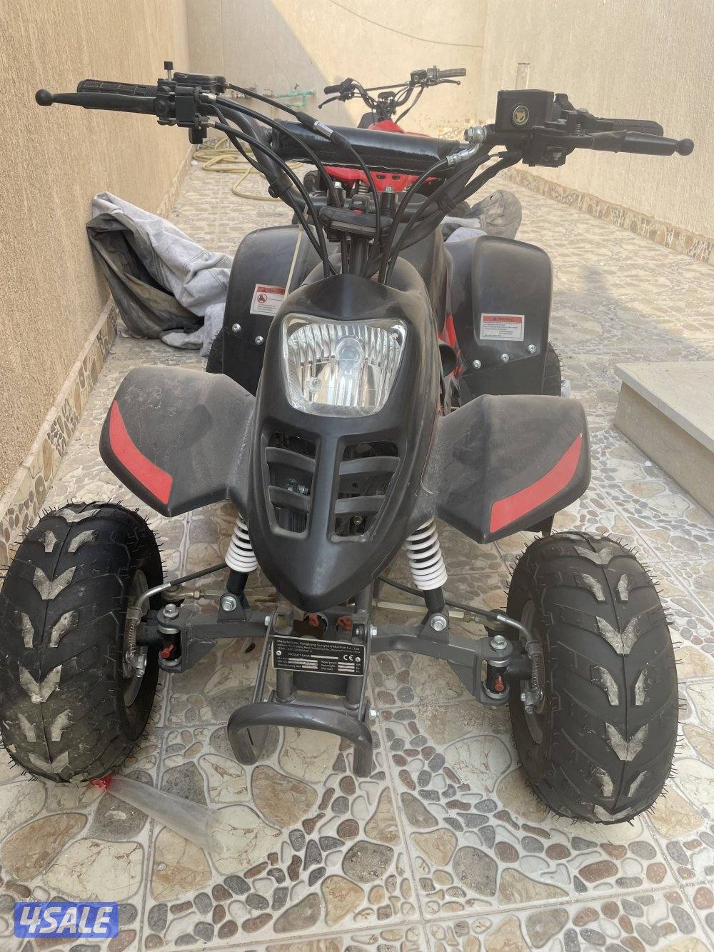 بقيات شبة جديدة1