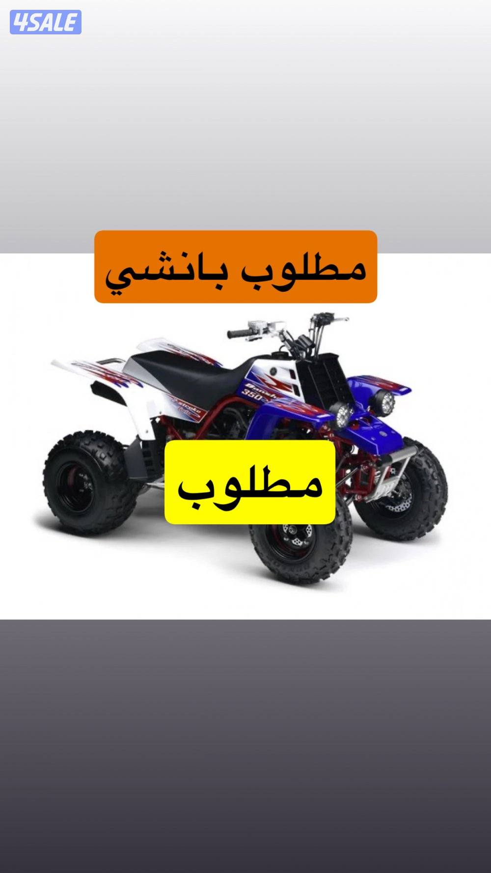 مطلوب بانشي0