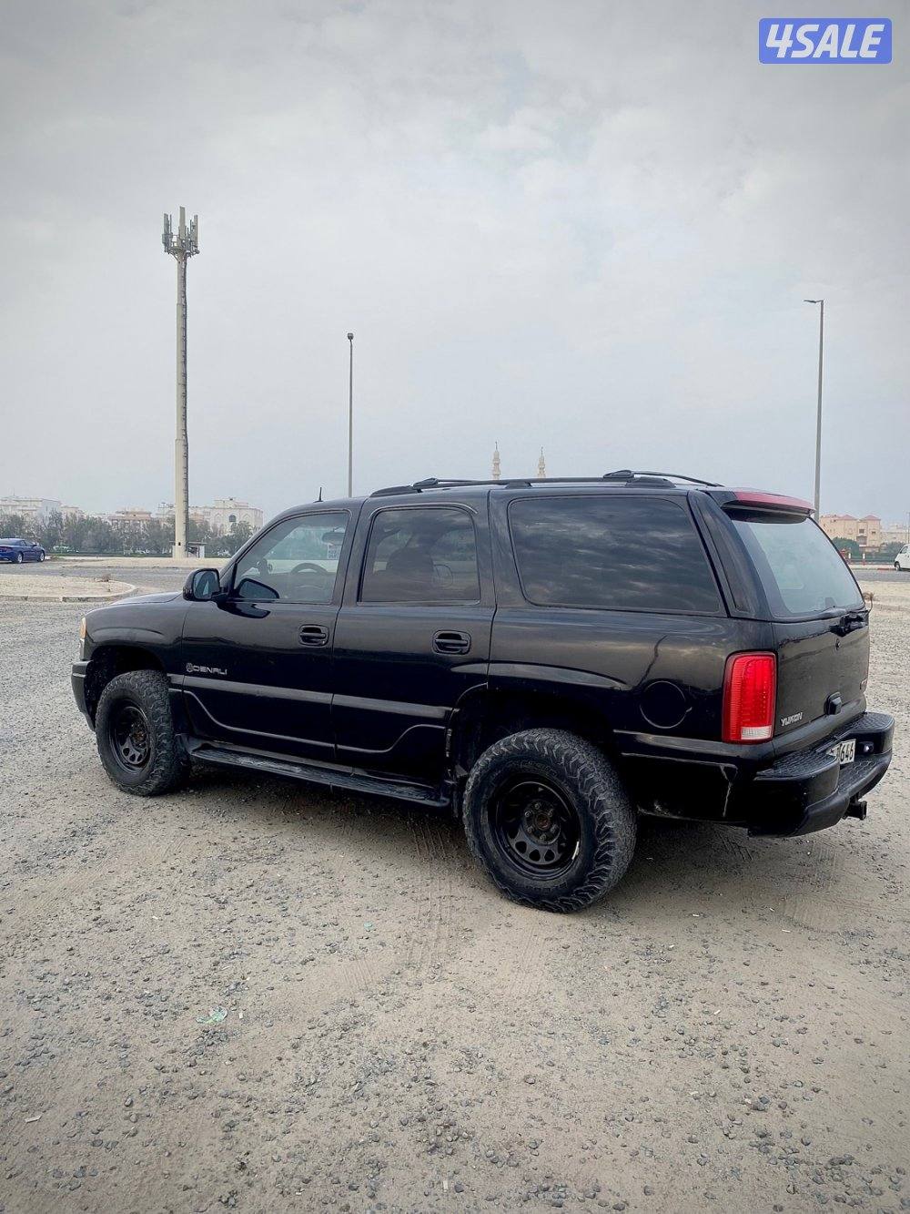 يوكن ينالي 20031