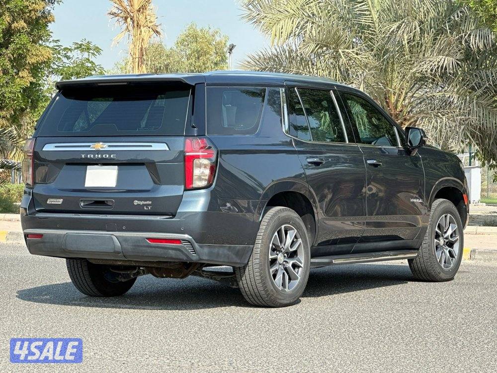 LT signature- عداد ٤٣ الف3