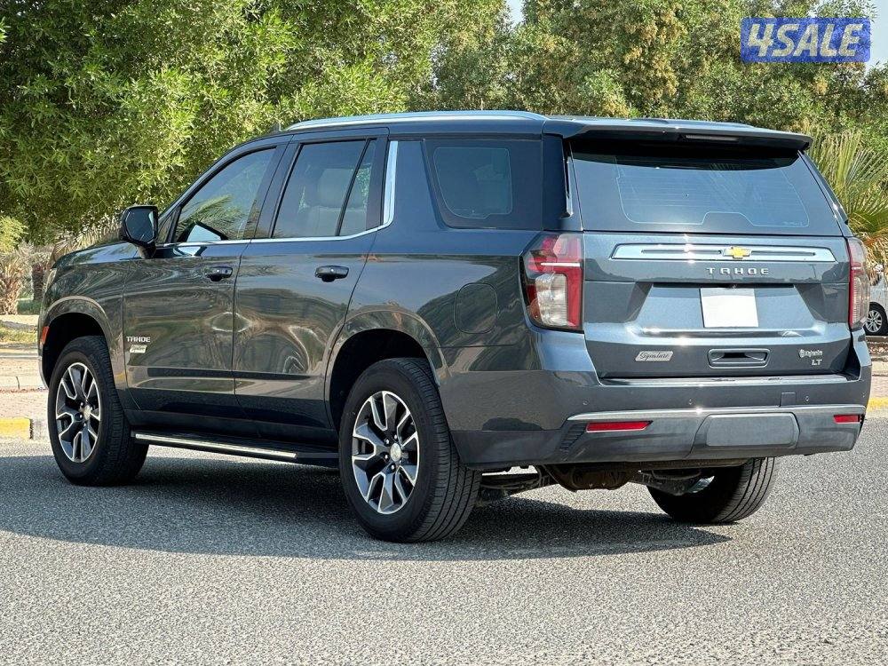 LT signature- عداد ٤٣ الف2