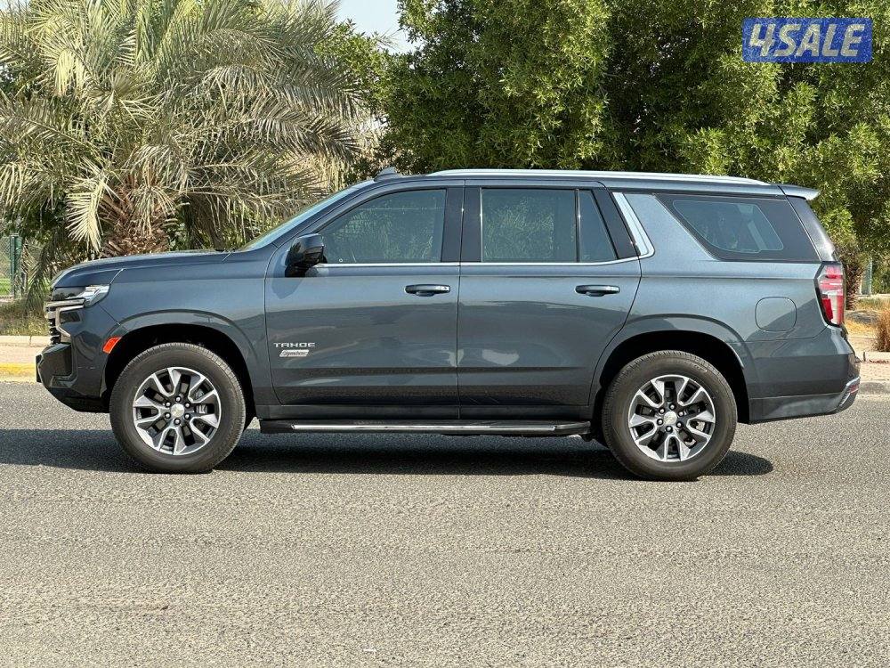 LT signature- عداد ٤٣ الف5