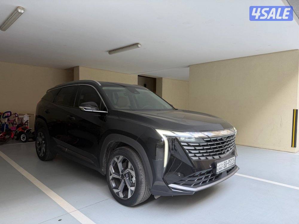 2024 ستارري GF صبغ الوكالة تحت الكفالة بحالة الوكالة0