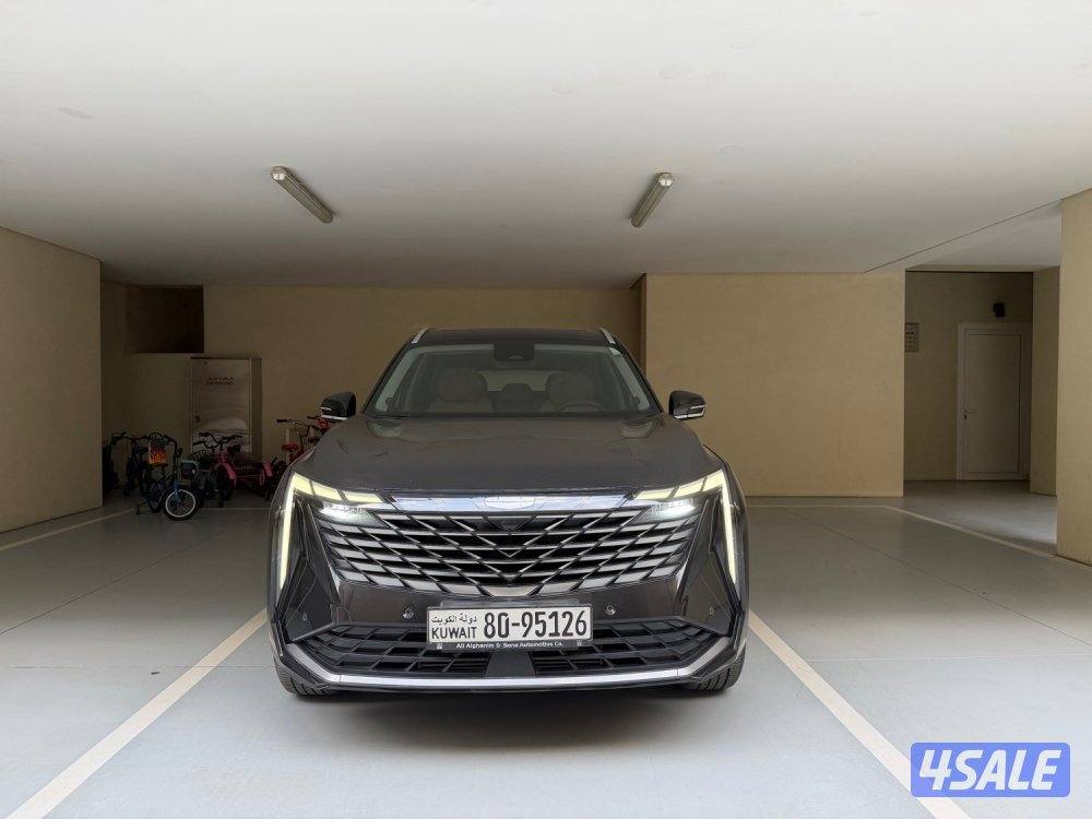 2024 ستارري GF صبغ الوكالة تحت الكفالة بحالة الوكالة1