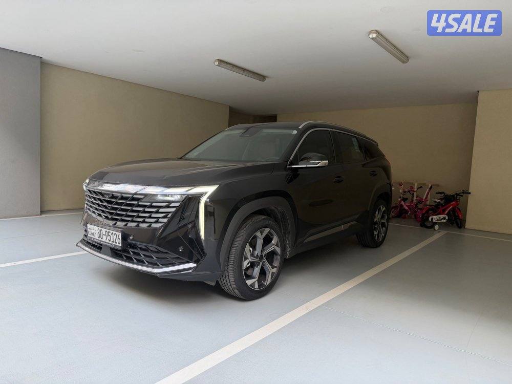 2024 ستارري GF صبغ الوكالة تحت الكفالة بحالة الوكالة2