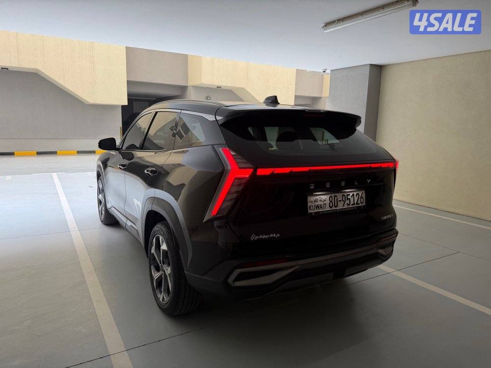 2024 ستارري GF صبغ الوكالة تحت الكفالة بحالة الوكالة4