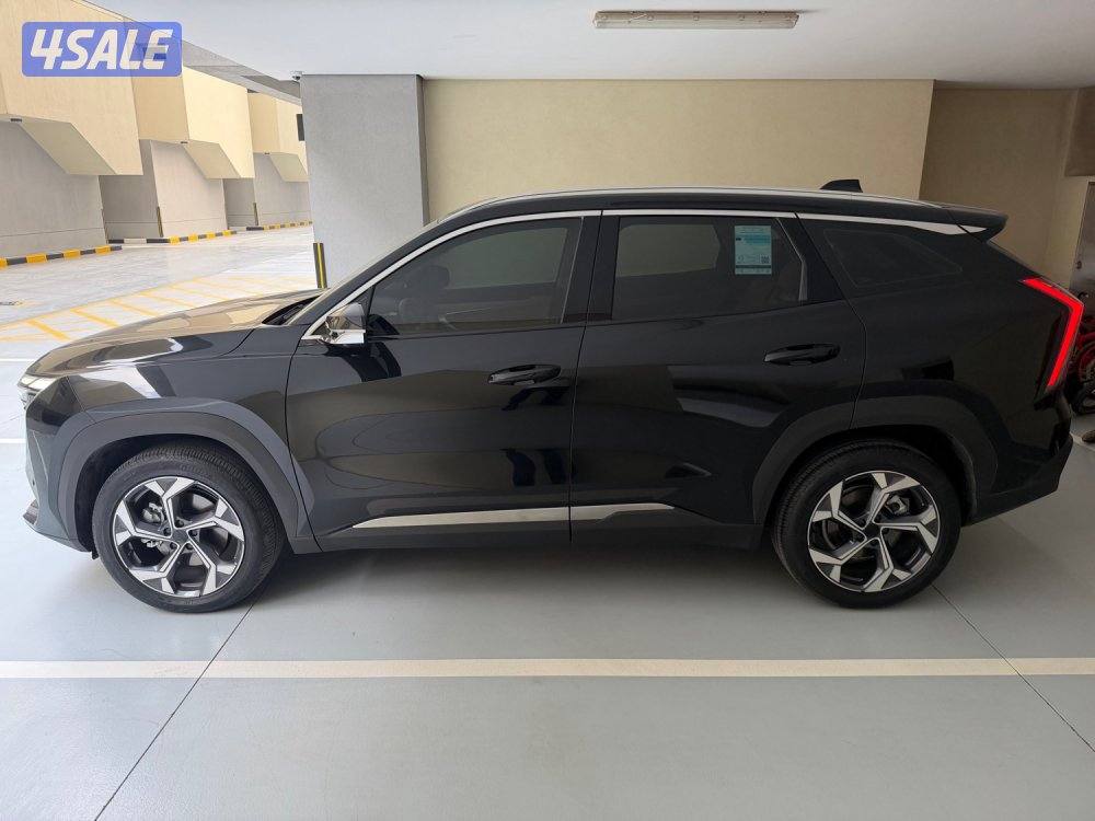 2024 ستارري GF صبغ الوكالة تحت الكفالة بحالة الوكالة3