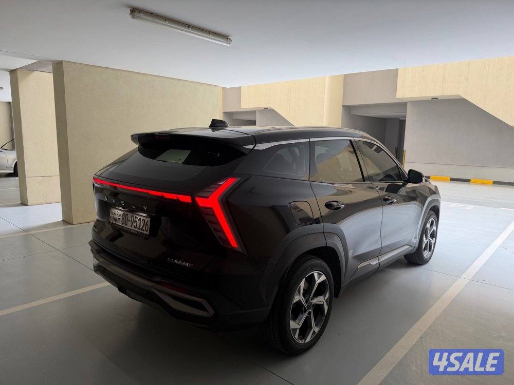 2024 ستارري GF صبغ الوكالة تحت الكفالة بحالة الوكالة5