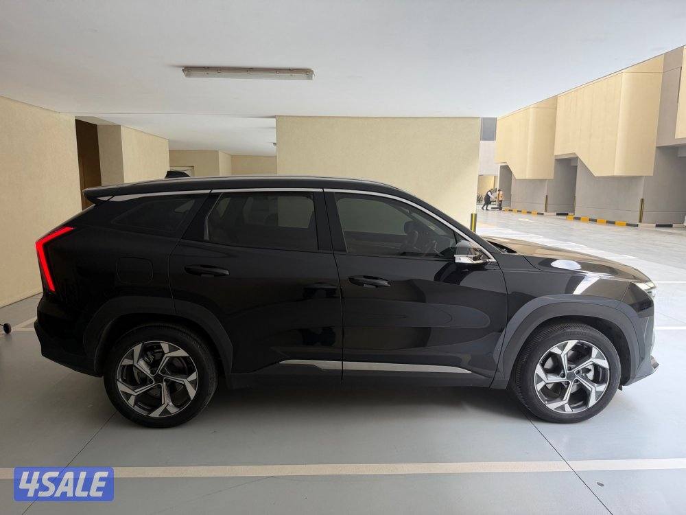 2024 ستارري GF صبغ الوكالة تحت الكفالة بحالة الوكالة6