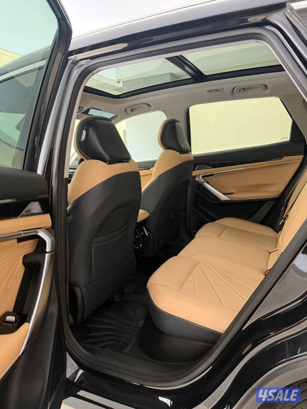 2024 ستارري GF صبغ الوكالة تحت الكفالة بحالة الوكالة12