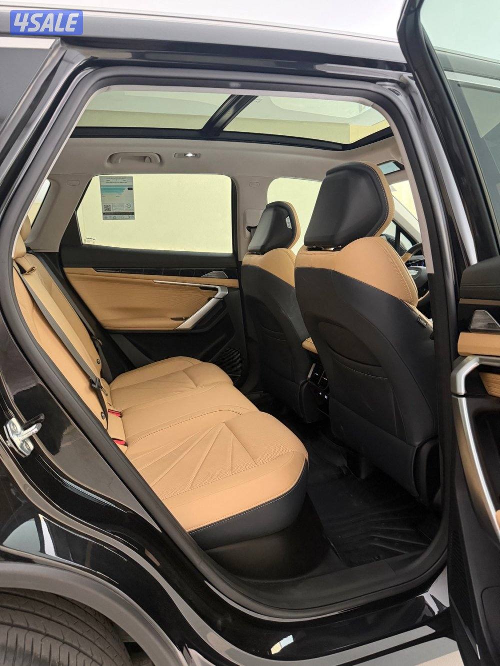 2024 ستارري GF صبغ الوكالة تحت الكفالة بحالة الوكالة13