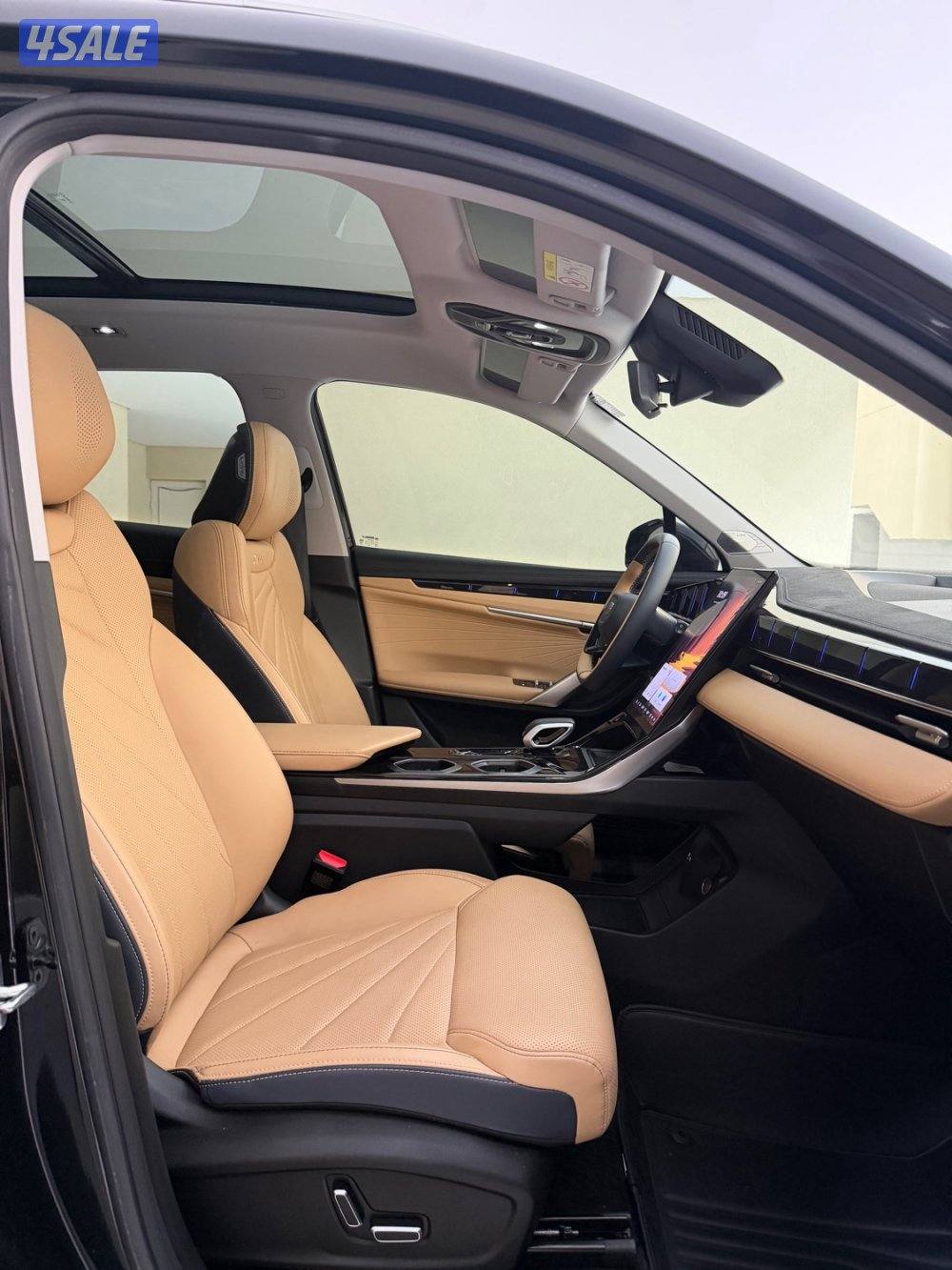 2024 ستارري GF صبغ الوكالة تحت الكفالة بحالة الوكالة14