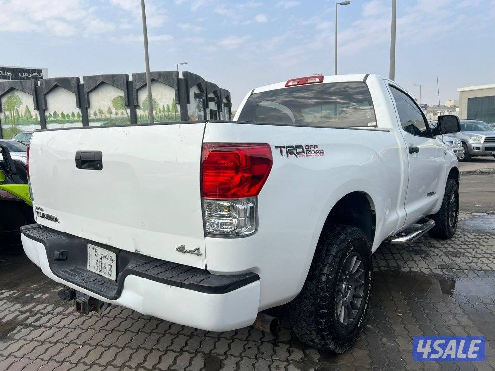 تندرا / غماره / صبغ الوكالة1